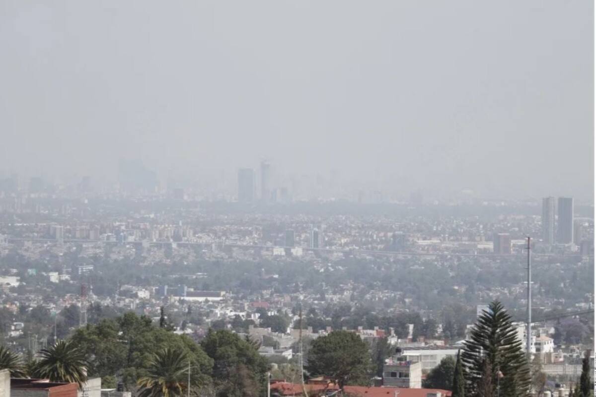 Hoy No Circula: ¡Atentos! Los siguientes vehículos no salen este jueves