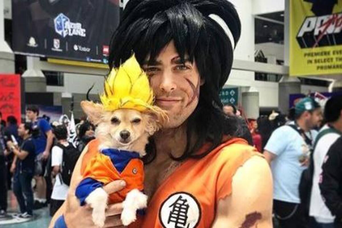 Harley, el perro que inunda las redes con sus cosplays de Goku y Vegeta