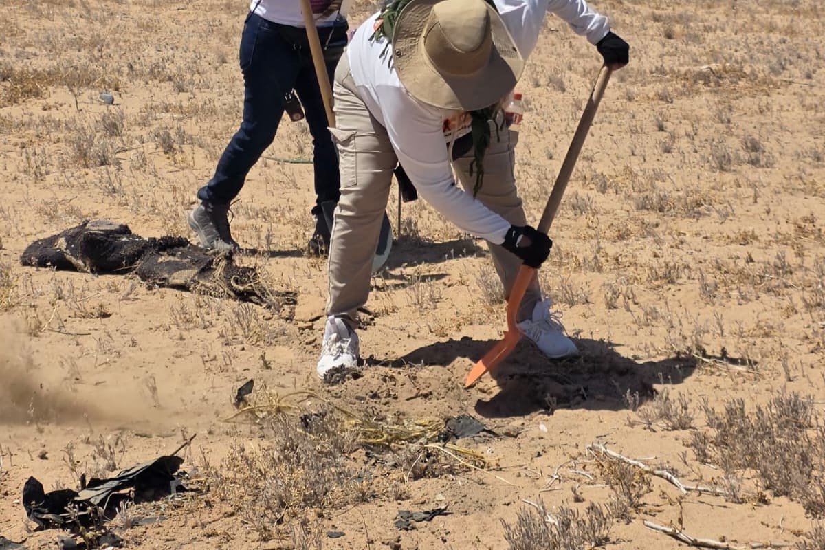 “Cada cuerpo es un hijo”: madres buscadoras hallan decenas de fosas en el desierto de Sonora