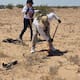 Mientras otros celebran, ellas saldrán al desierto a buscar a sus hijos este 10 de mayo