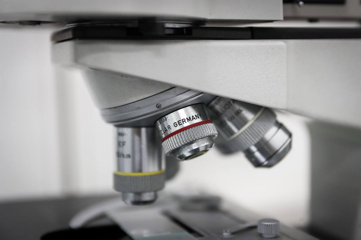 Estudio: Las células cancerosas proliferan mejor en viscosidades