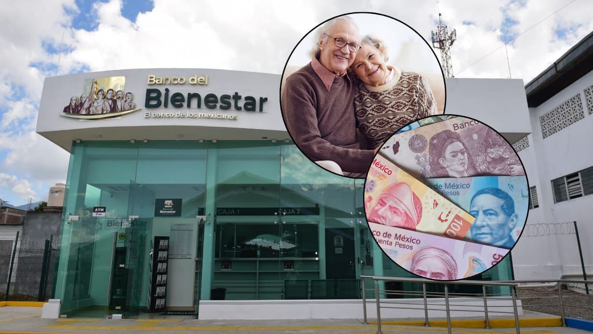¿Quiénes recibirán apoyo del Banco Bienestar este noviembre? Conoce los programas y montos que se entregarán durante el próximo bimestre