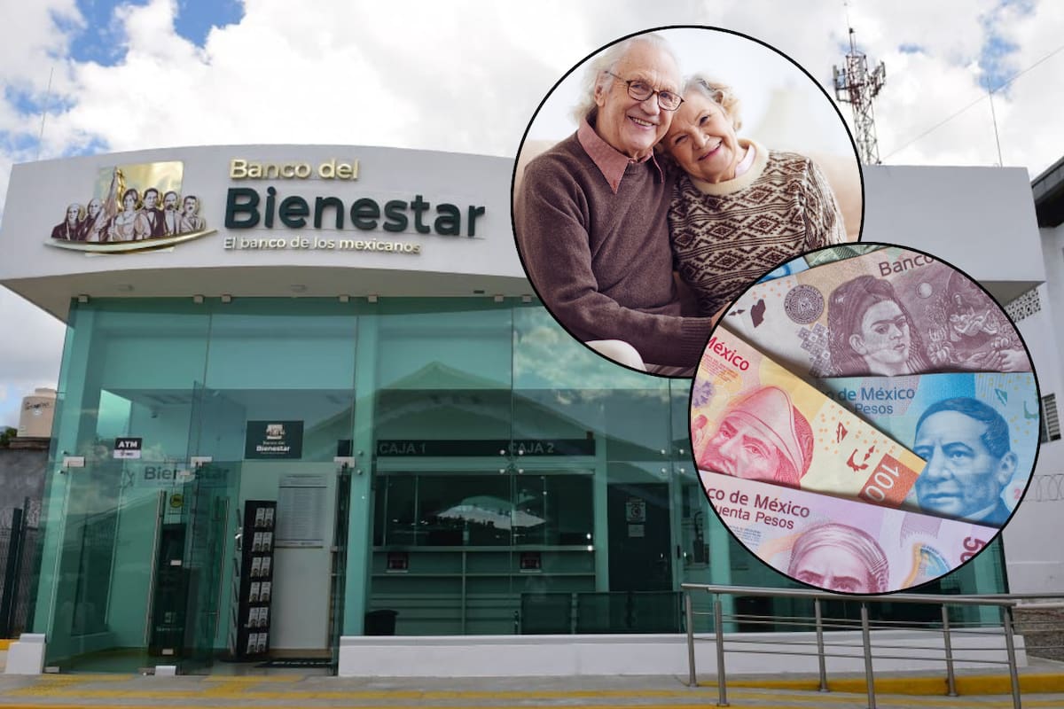 ¿Quiénes recibirán apoyo del Banco Bienestar este noviembre? Conoce los programas y montos  que se entregarán durante el próximo bimestre