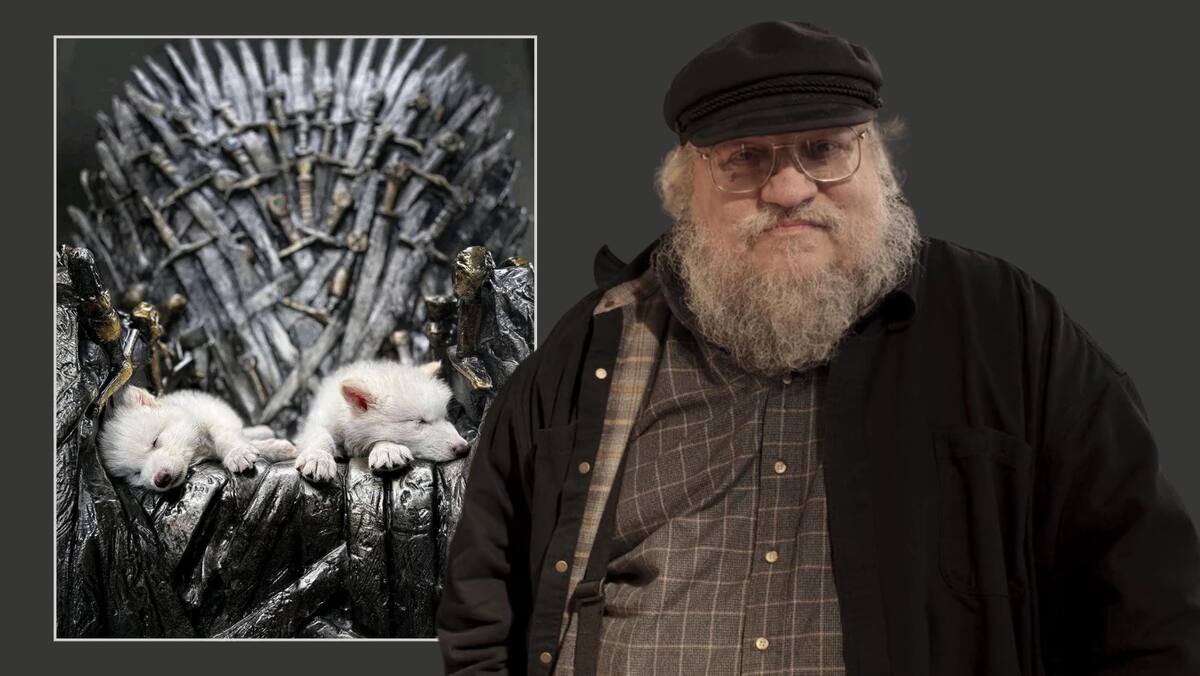 Los lobos huargos regresan de la extinción: Investigadores usan el ADN antiguo de los lobos terribles para traerlos a la vida. Foto: Christopher Klee/Colossal Biosciences - hieloyfuego.fandom.com