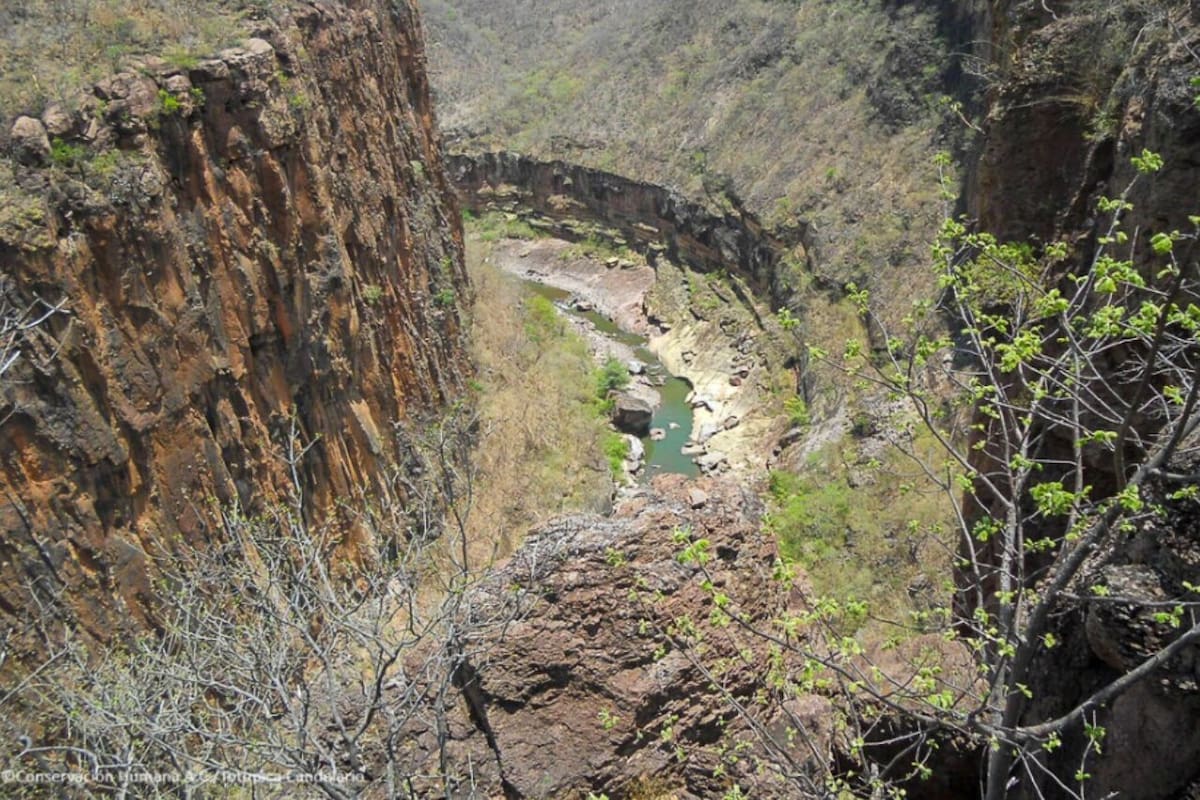 Ruta Wixárika declarada Patrimonio Mundial: Un triunfo para la cultura y naturaleza de México