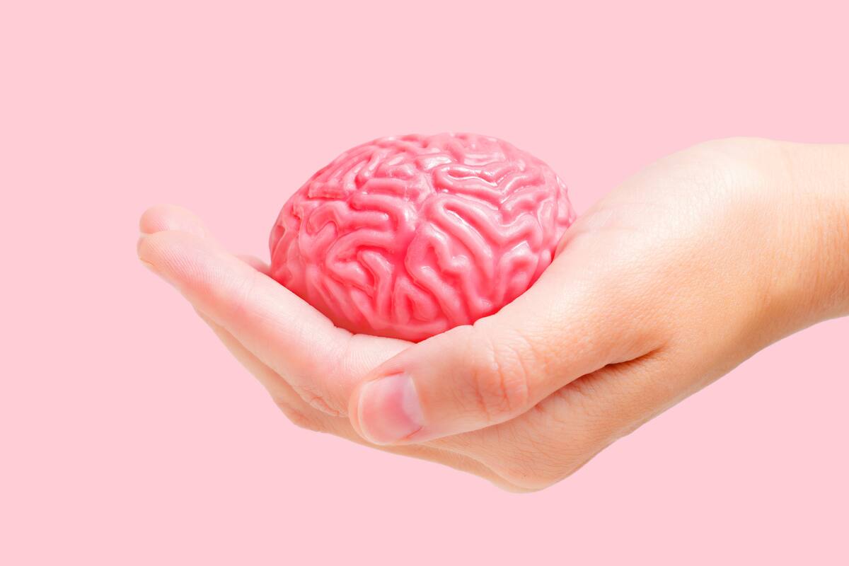 Científicos identifican un mecanismo cerebral que ayuda a superar el miedo