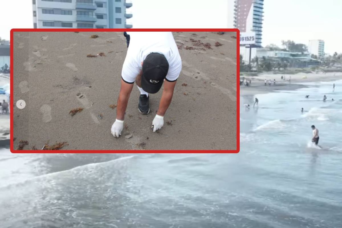 Derrame de petróleo en Veracruz genera dudas en redes sociales durante Semana Santa 2026, mientras que el gobierno garantiza playas limpias