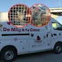 Trasladan a Mexicali perros y gatos rescatados de la canalización del Río Tijuana