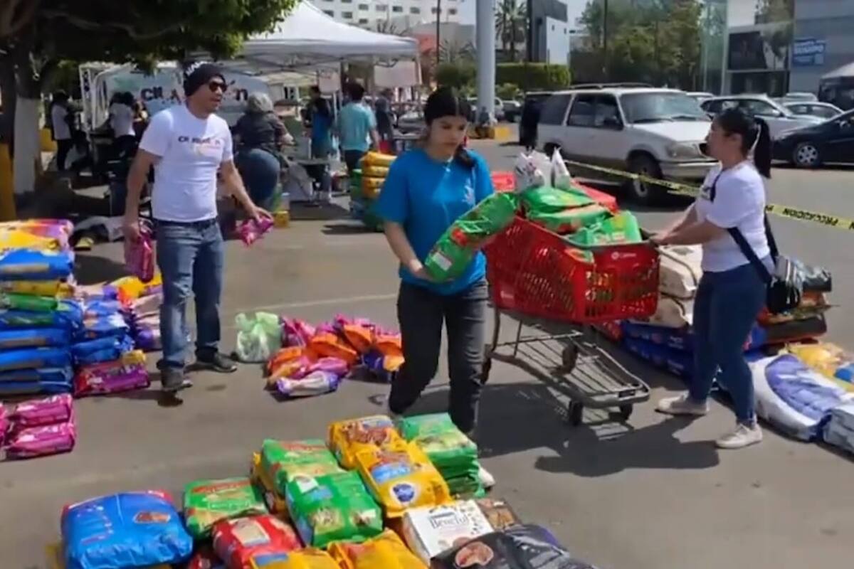 Realizarán Croquetón para apoyar a rescatistas de perros y gatos