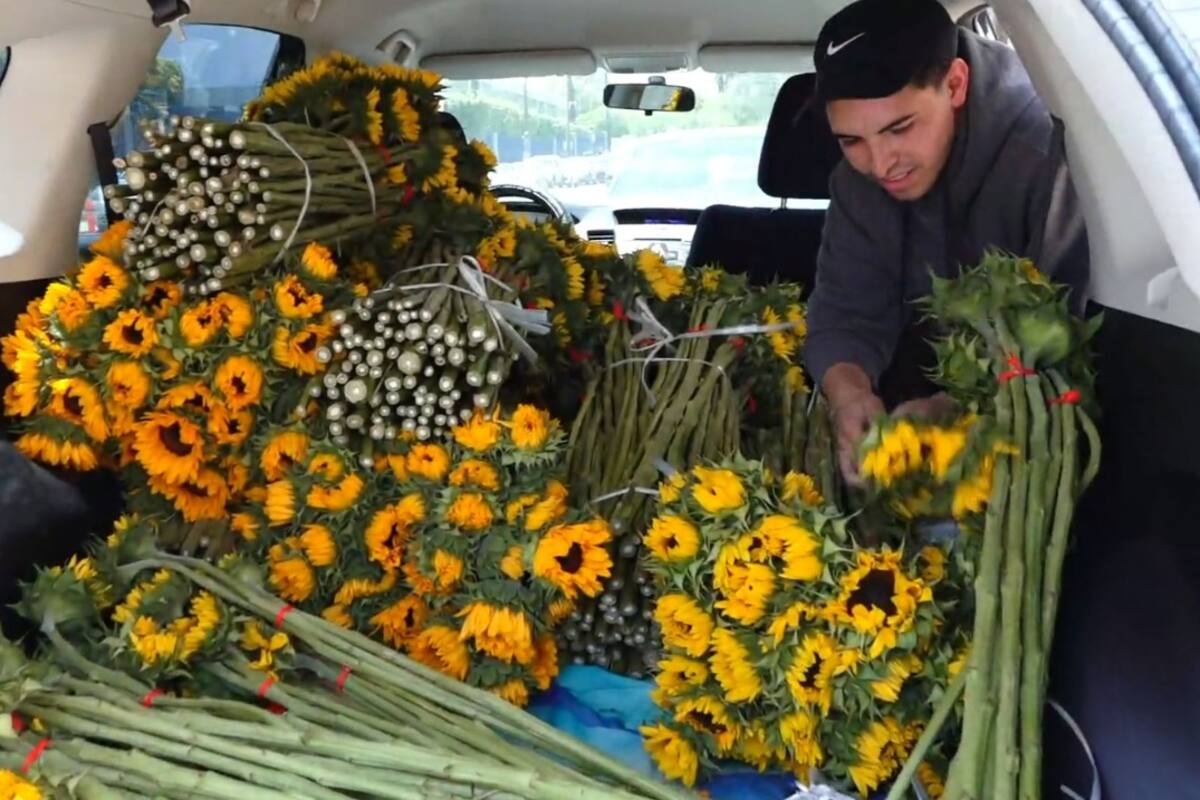 Quedan mal con pedido de flores y la comunidad apoya
