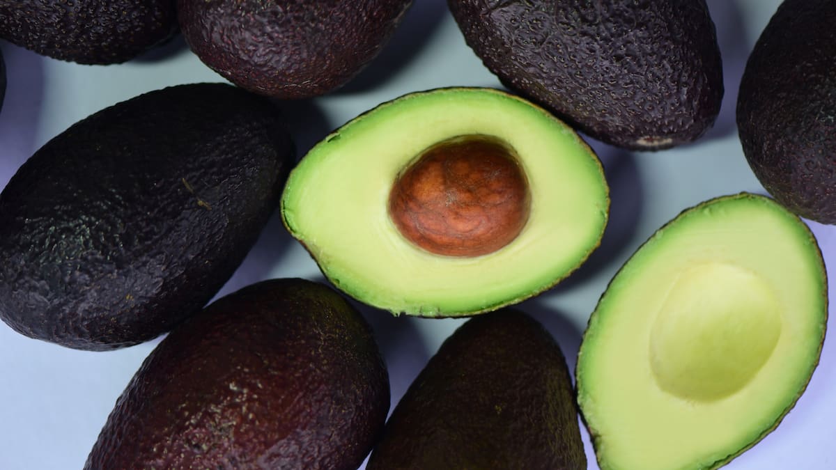 Aunque en México hay aguacates todo el año, la mayor parte de la producción ocurre entre noviembre y junio. A partir de julio comienza una pausa en las cosechas, lo que reduce la oferta y presiona los precios.