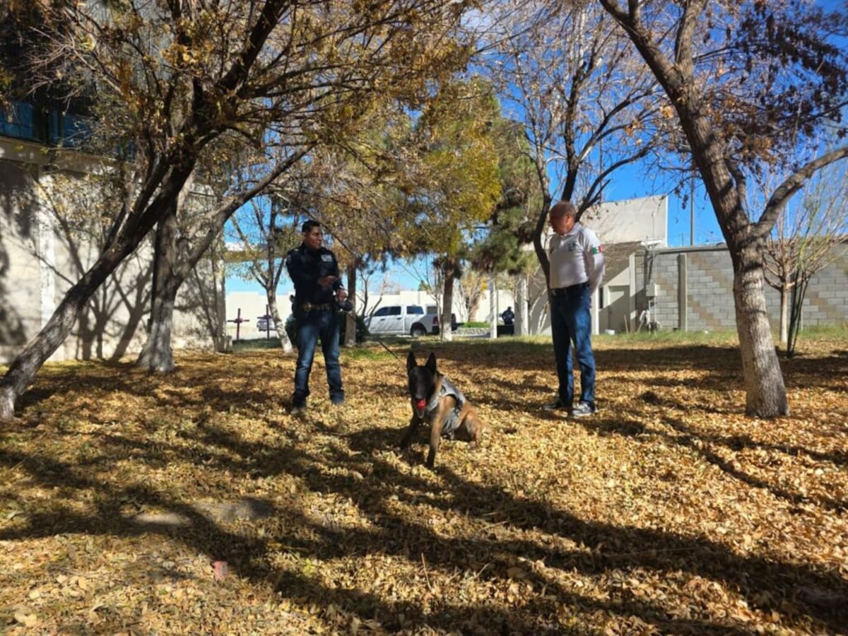 Foto: FGE Chihuahua.