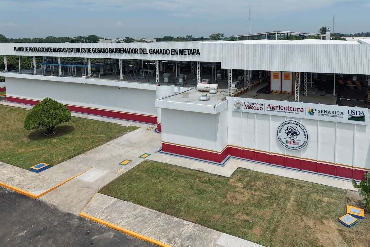 Inauguran planta de mosca estéril en Chiapas: “Se erradicará pronto plaga de gusano barrenador”: Rollins y anuncian inversión de 83 mdd de EEUU en México