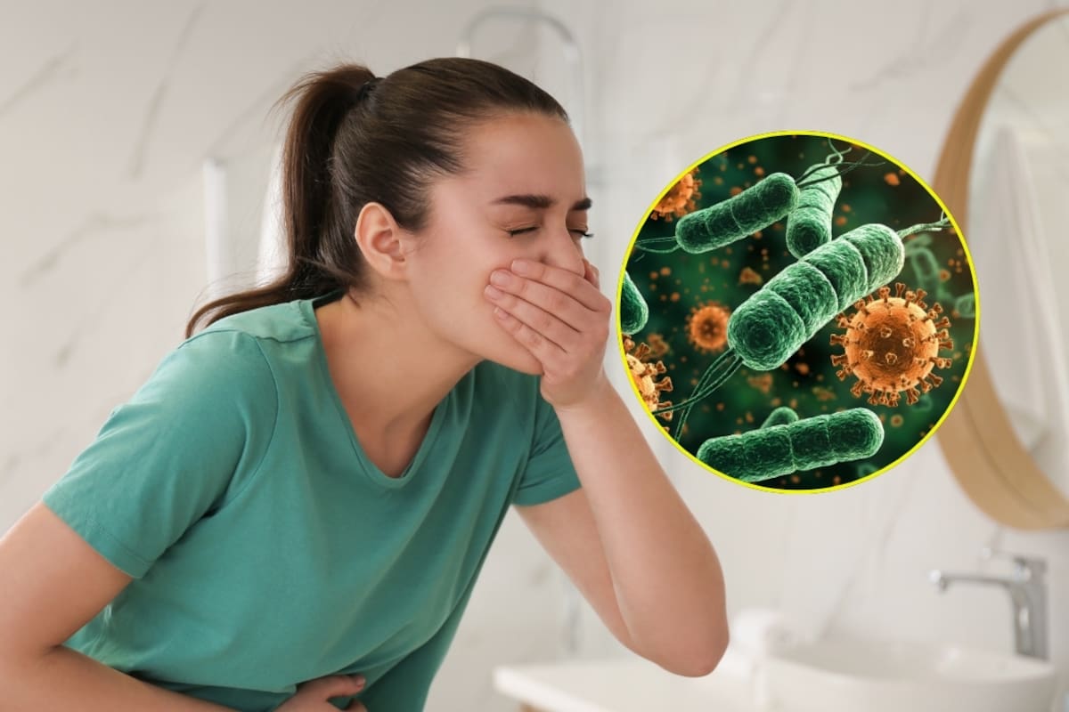 ¿Cuáles son las señales de alerta de la salmonelosis? Síntomas que causa la bacteria tras brote en el Hospital General de México