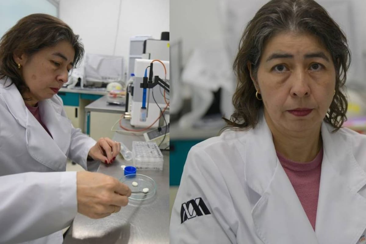 Biomateriales de la UAM buscan reparar piel, huesos y tejido cardíaco tras un infarto