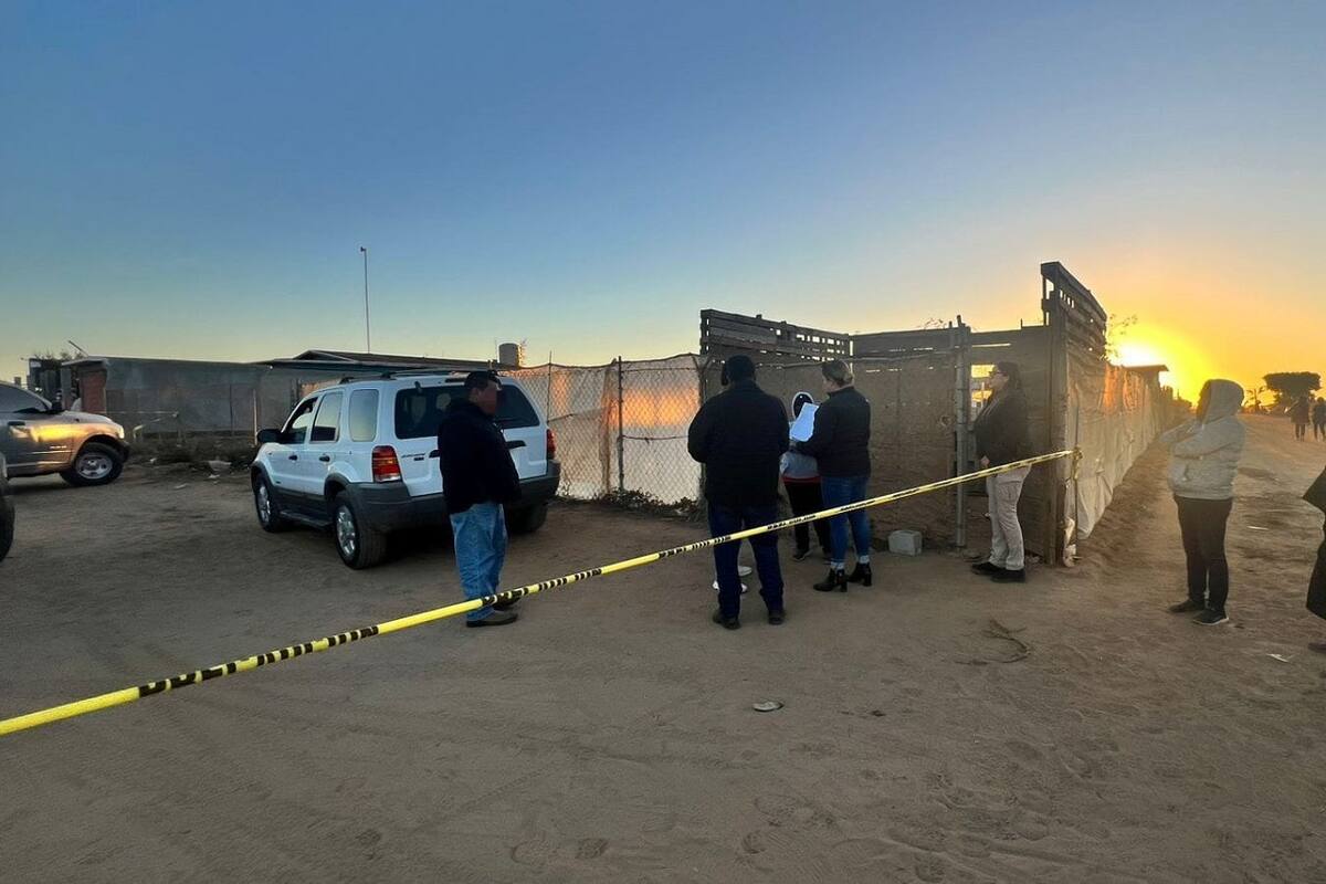 Indaga FGE caso de crueldad contra animales en San Quintín