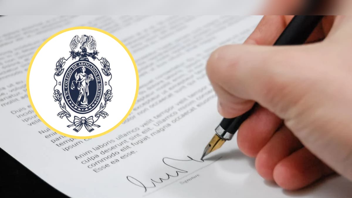 Colegio de Abogados de México ofrece asesoría jurídica a afectados por la marcha de la Generación Z