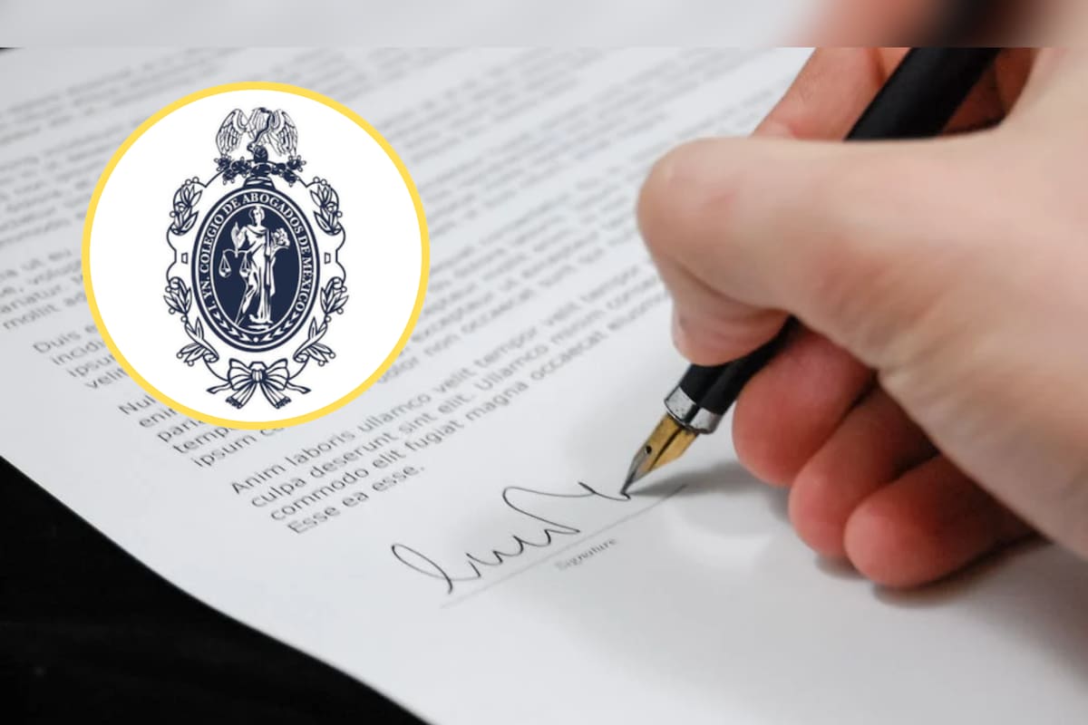 Colegio de Abogados de México ofrece asesoría jurídica a afectados por la marcha de la Generación Z