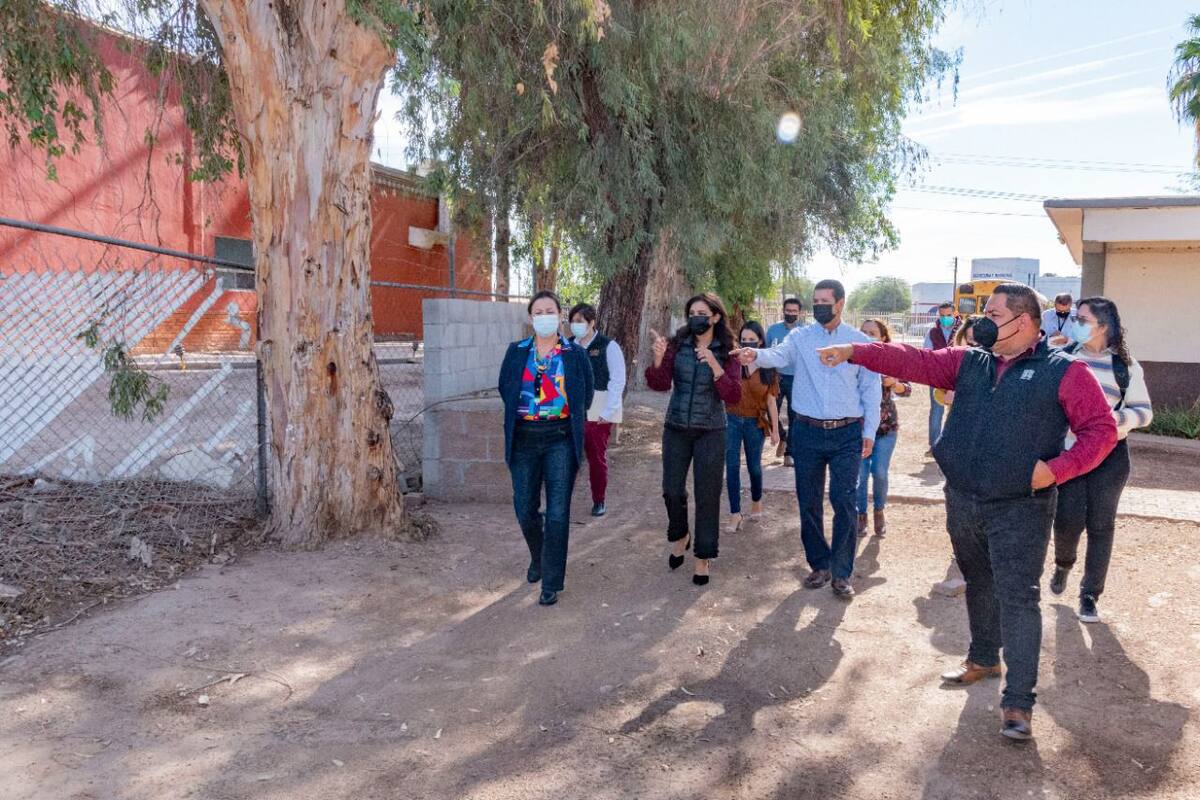 Cobach BC regresará a clases presenciales el 8 de febrero