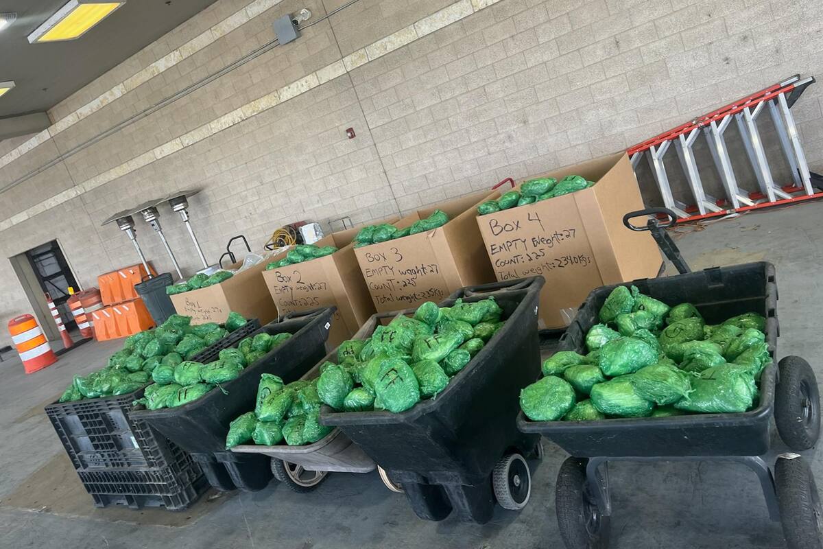 EU: Ocultan mil 500 kilos de metanfetamina en cargamento de lechuga