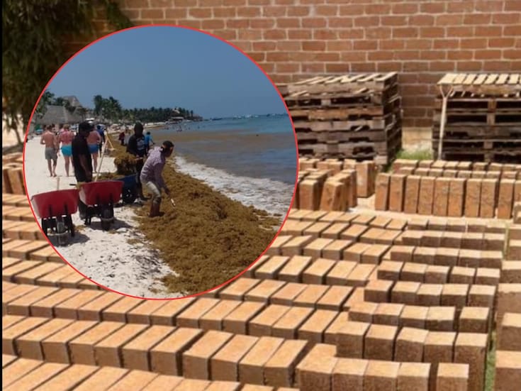 Mexicano convierte el sargazo en bloques de construcción con 40% de alga y reduce hasta 40% el costo de vivienda en el Caribe; la UNAM validó resistencia ante sismos y huracanes en la primera casa edificada con este material