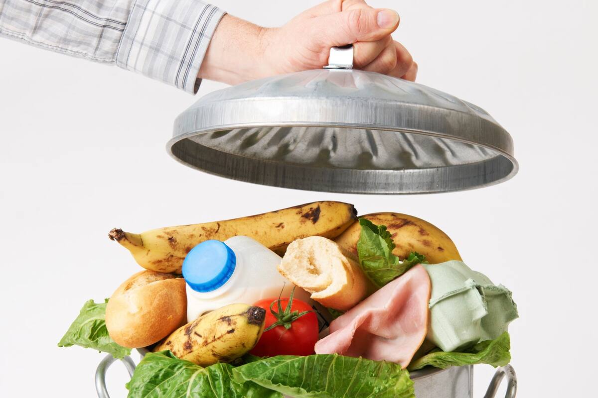 Crean App para evitar desperdicio de alimentos