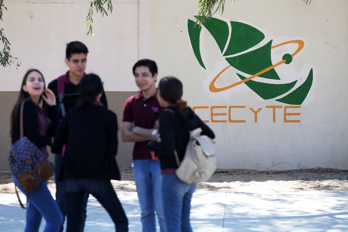 Educación obligatoria seguirá gratuita: SEE