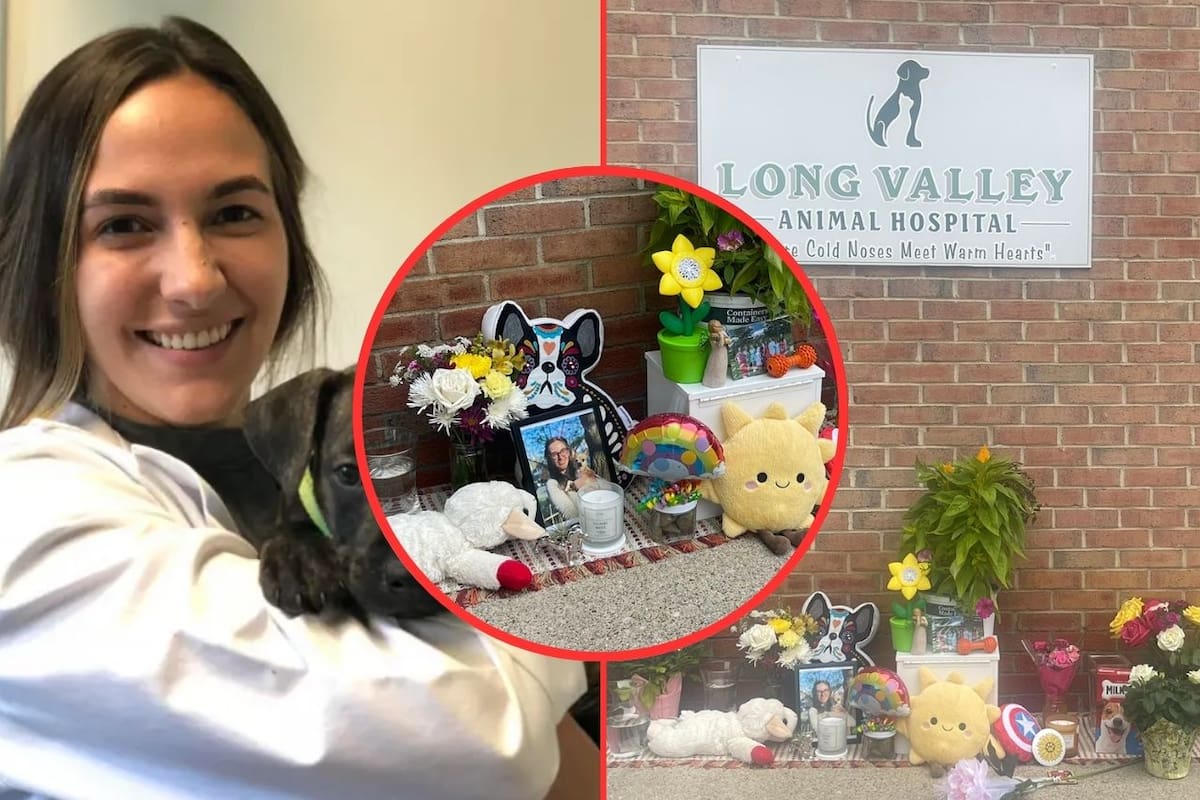 Lauren Semanchik: La veterinaria que pidió ayuda a la policía y fue asesinada por su expareja, un agente estatal