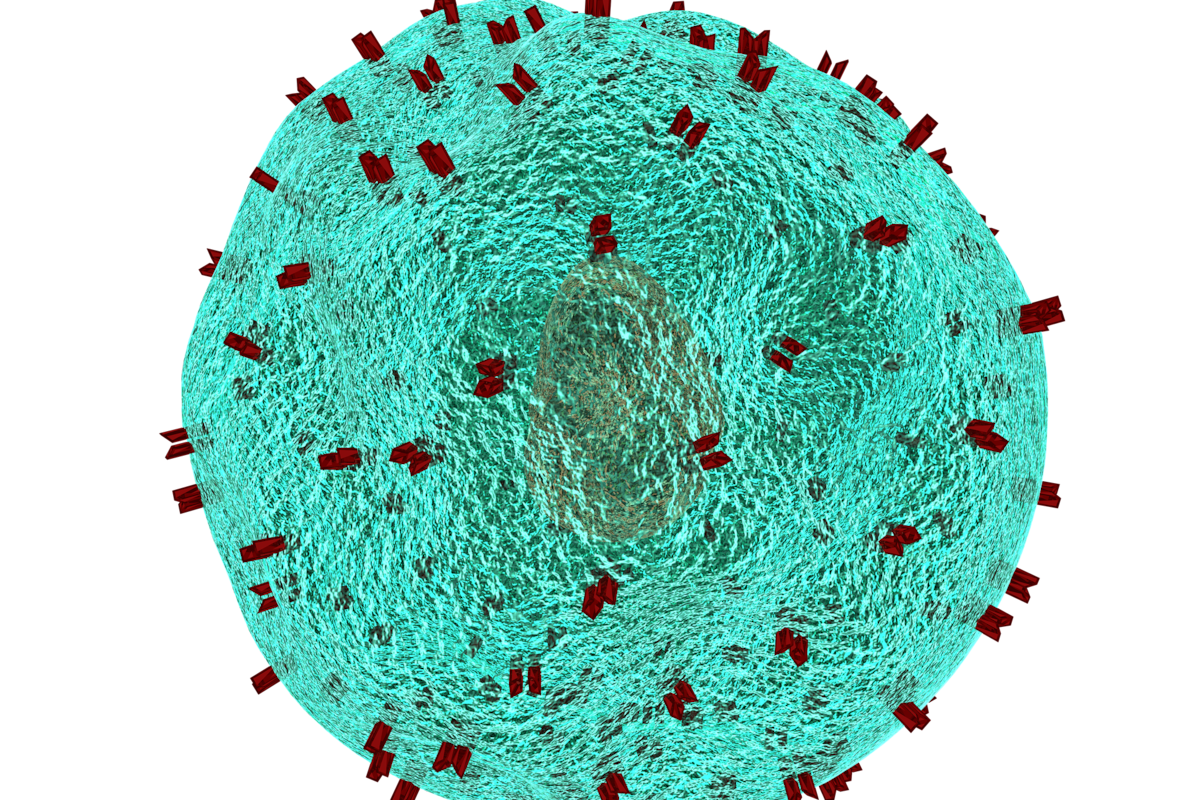 VIH/sida: qué le hace el virus de inmunodeficiencia humana al sistema inmunitario y por qué es tan difícil encontrar una cura o una vacuna