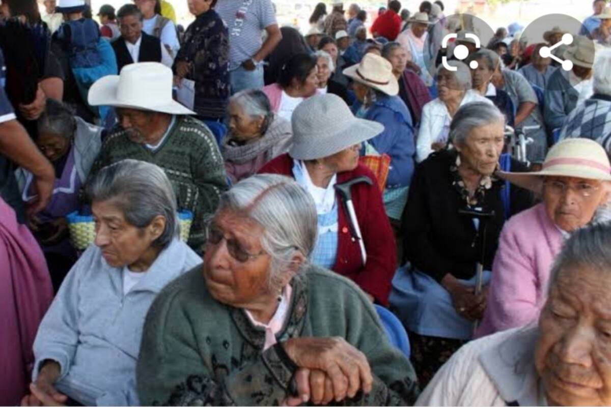 Abuelitos recibirán mejores apoyos: Morena