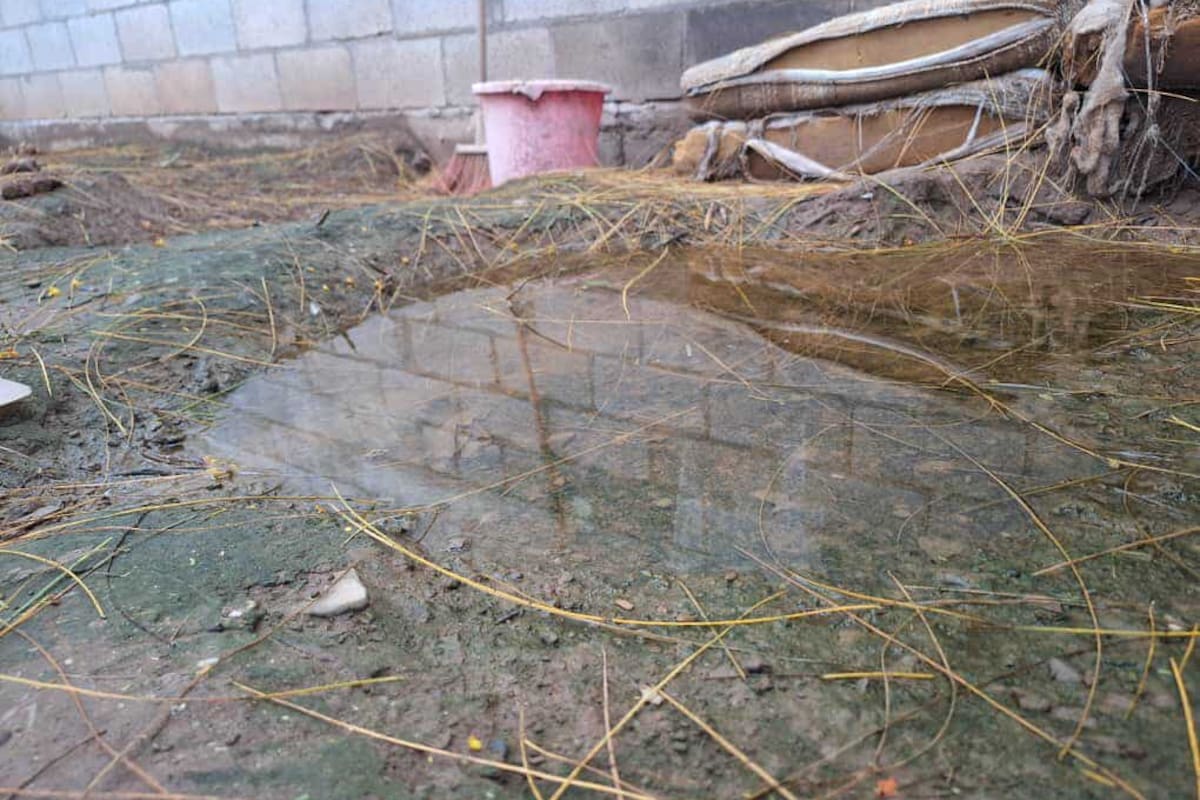 Lluvias propician aparición de dengue en Ciudad Obregón: Secretaría de Salud Municipal