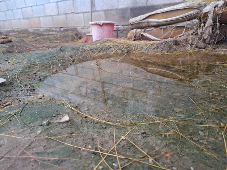 Lluvias propician aparición de dengue en Ciudad Obregón: Secretaría de Salud Municipal