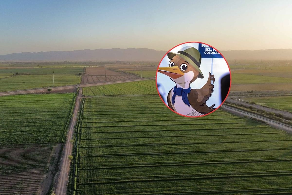 Se impulsan proyectos para ahorrar agua en el Valle de Mexicali