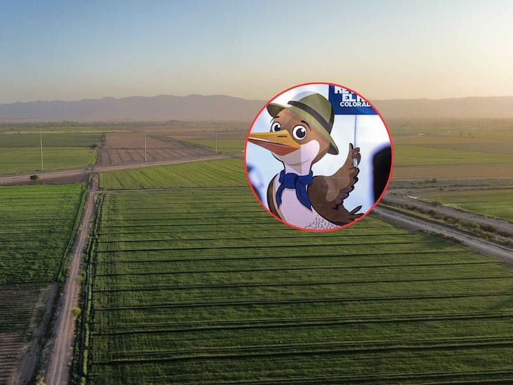 Se impulsan proyectos para ahorrar agua en el Valle de Mexicali