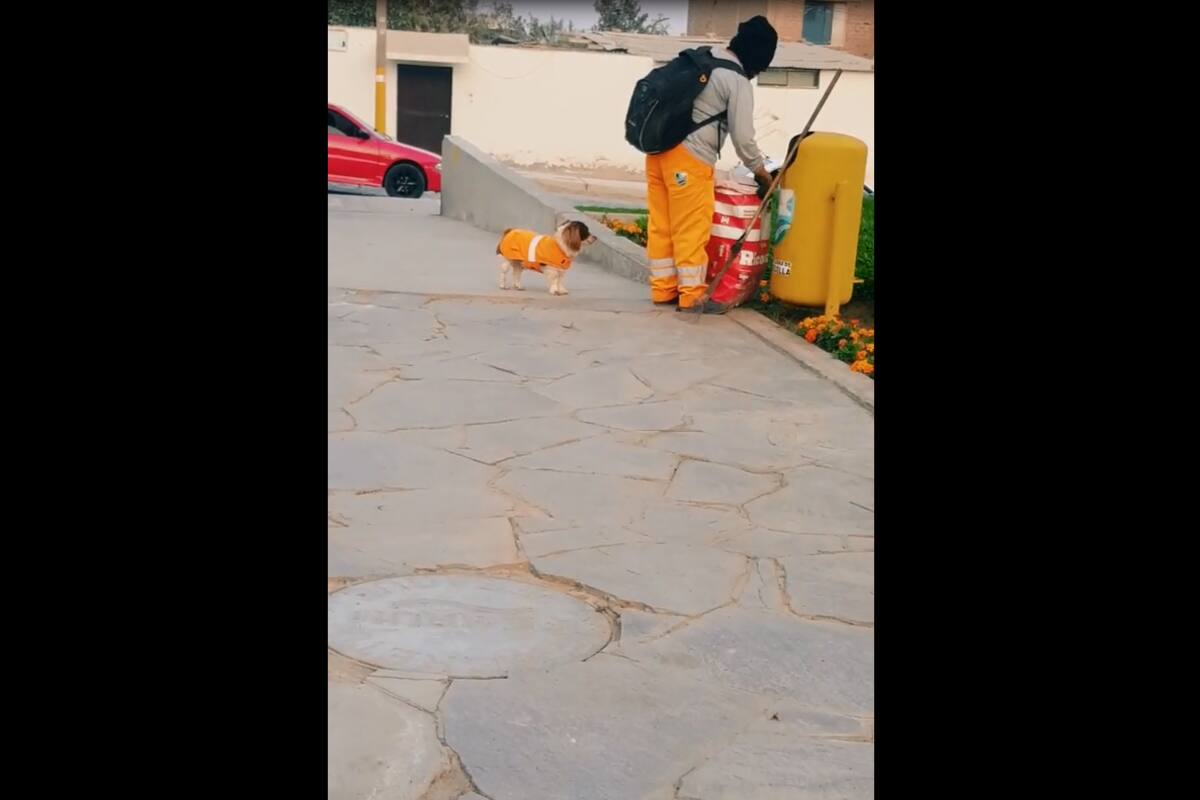 TIKTOK VIDEO: Mujer lleva a su perrito a trabajar y hasta tiene su propio uniforme
