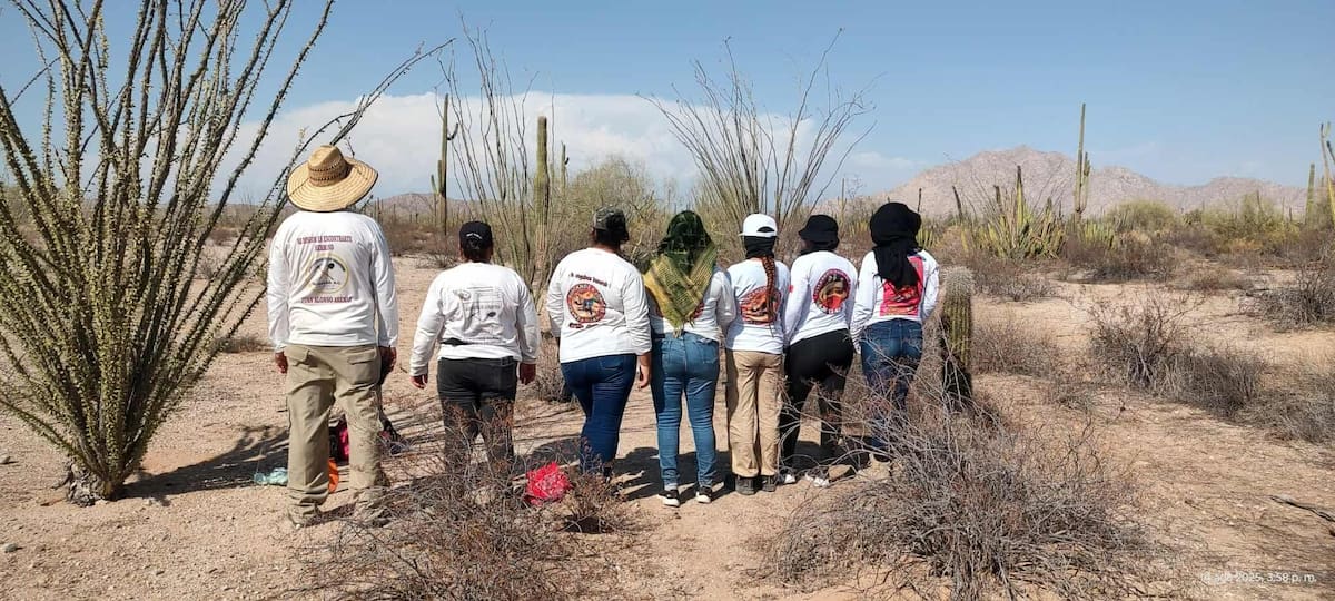 Los restos se hallaron cerca del kilómetro 24 de la carretera Sonoyta–Puerto Peñasco, junto con prendas de vestir y objetos personales.