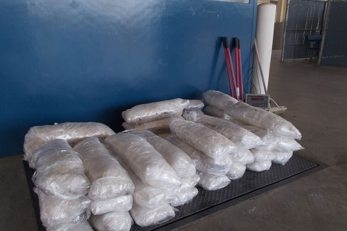 Más de 680 kilogramos de narcóticos decomisados en garita de Tecate