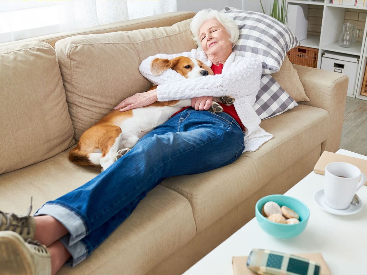 Power Nap: el secreto de 20 minutos que mejora tu concentración y ánimo. | Crédito: Canva