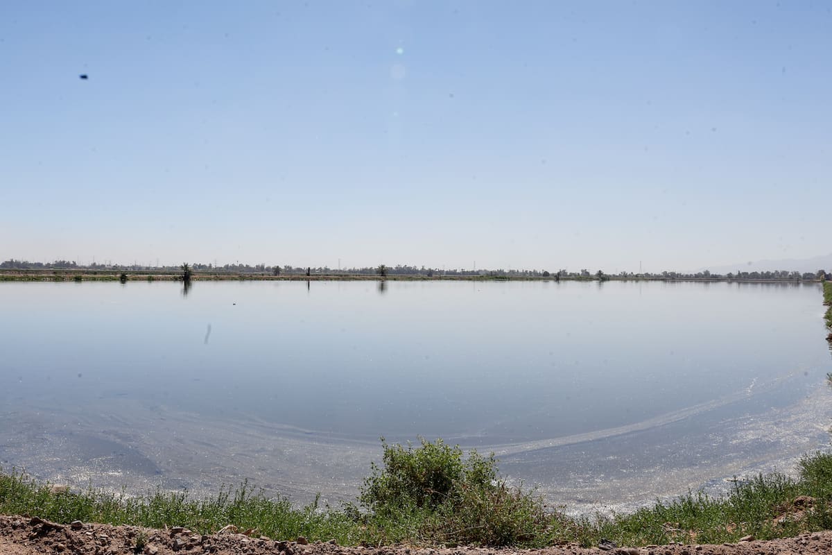 Mexicali reutiliza 6 de cada 10 litros de aguas residuales para riego, industria y medio ambiente