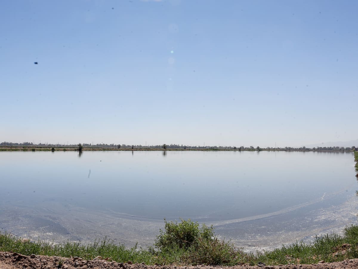 Foto: Juan J Morales