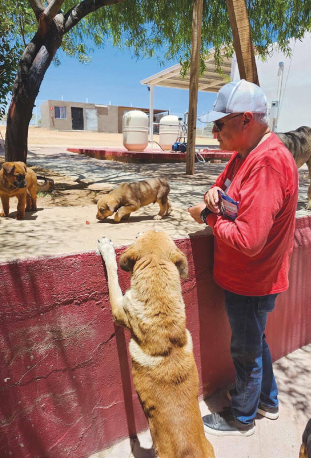 El grupo Samaritanos también apoya con alimento para mascotas.