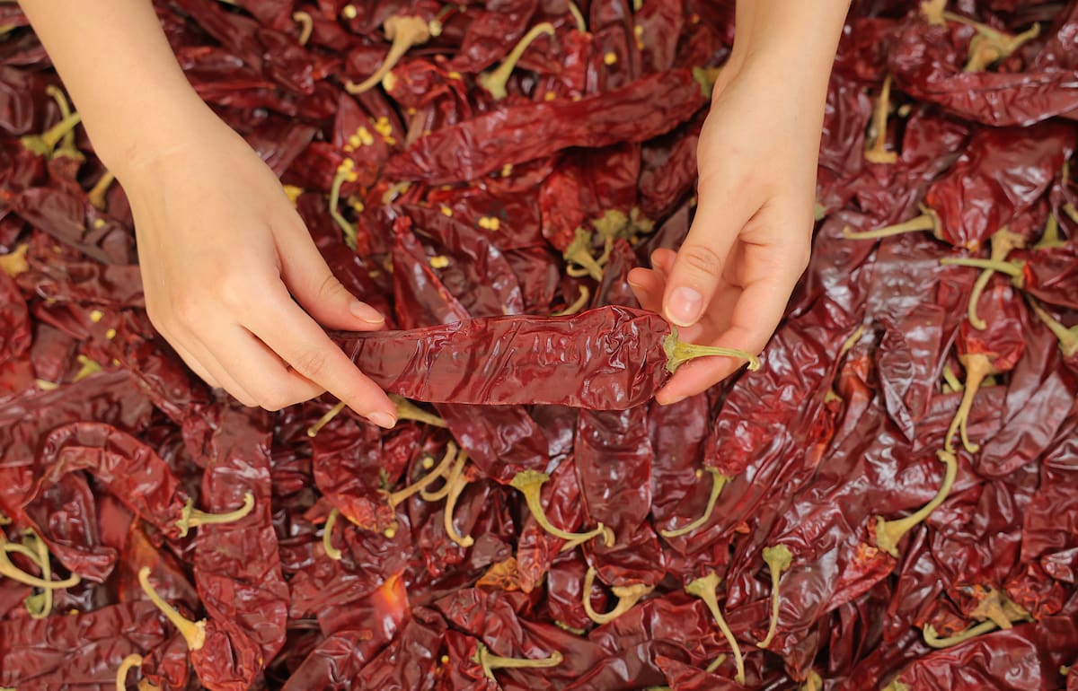 Chiles secos | Archivos GH