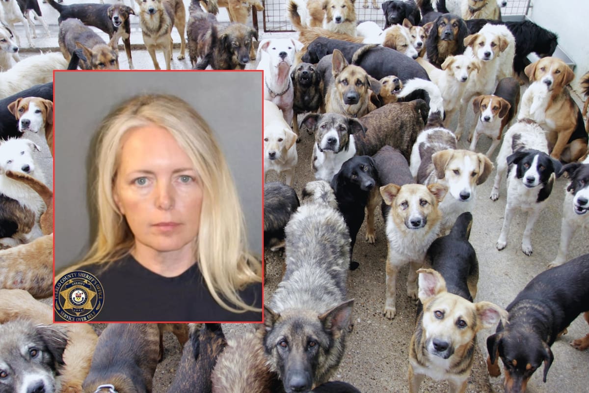 Mujer abandonó a su madre de 76 años con demencia en una casa con decenas de perros, quienes la atacaron brutalmente hasta la muerte