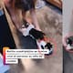 Es el gato terreneitor: gatito cuadripléjico se vuelve viral al estrenar su nueva silla de ruedas