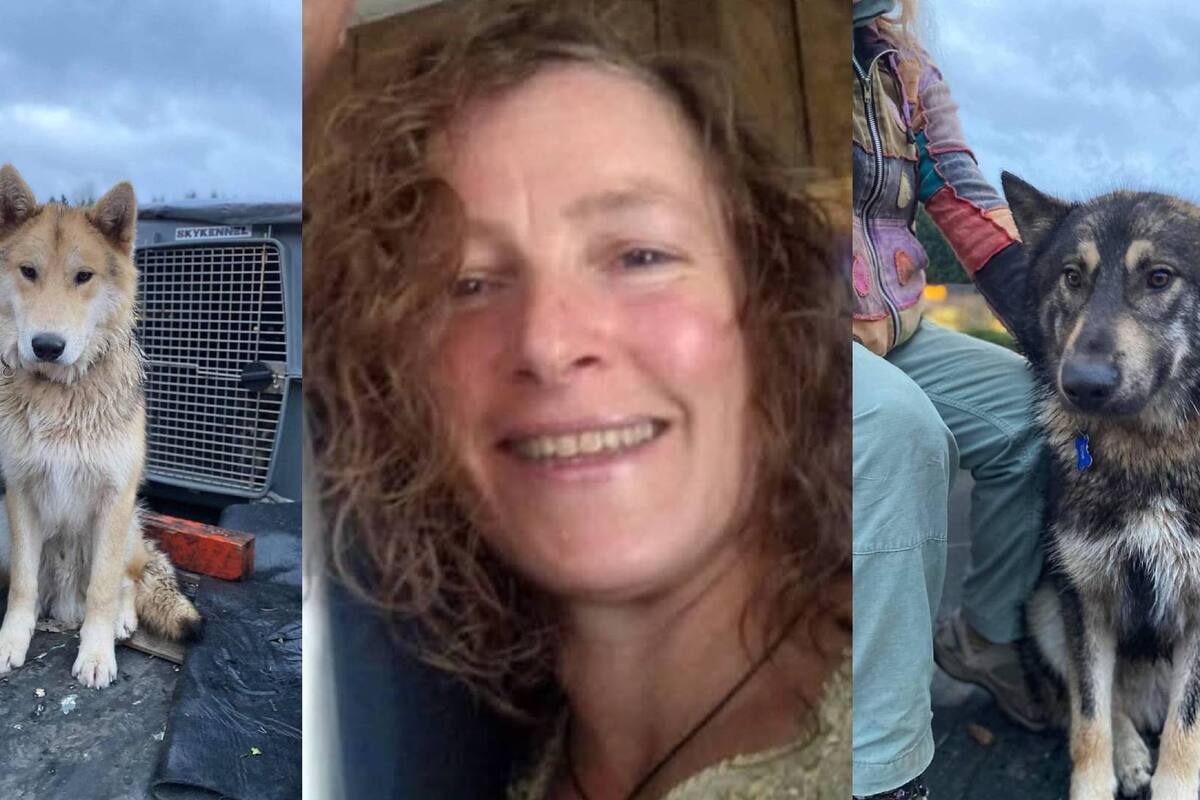 EU: Encuentran cuerpo de mujer y los restos de sus perros días después; su exesposo es el principal sospechoso