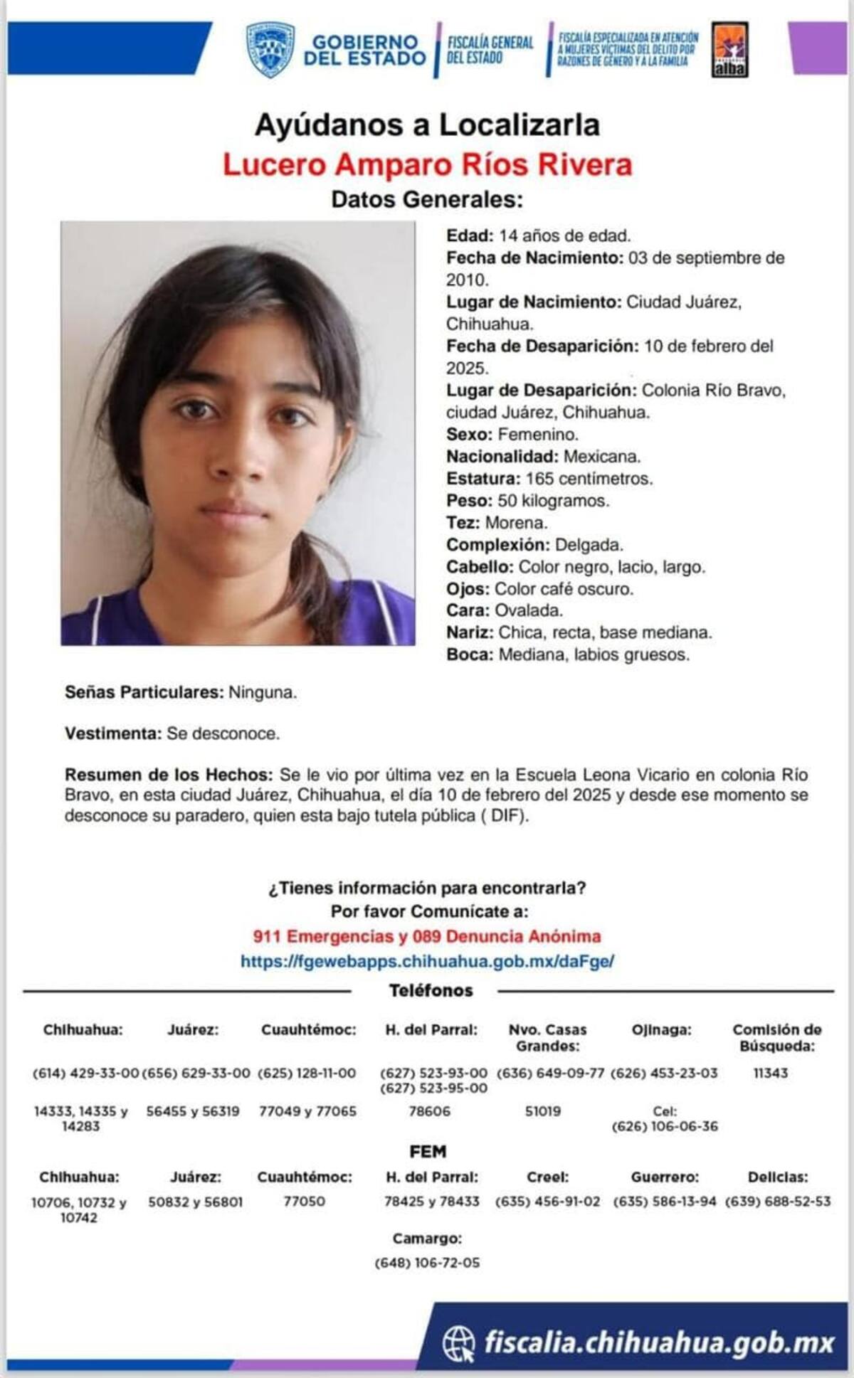 Ficha de búsqueda Lucero Amparo