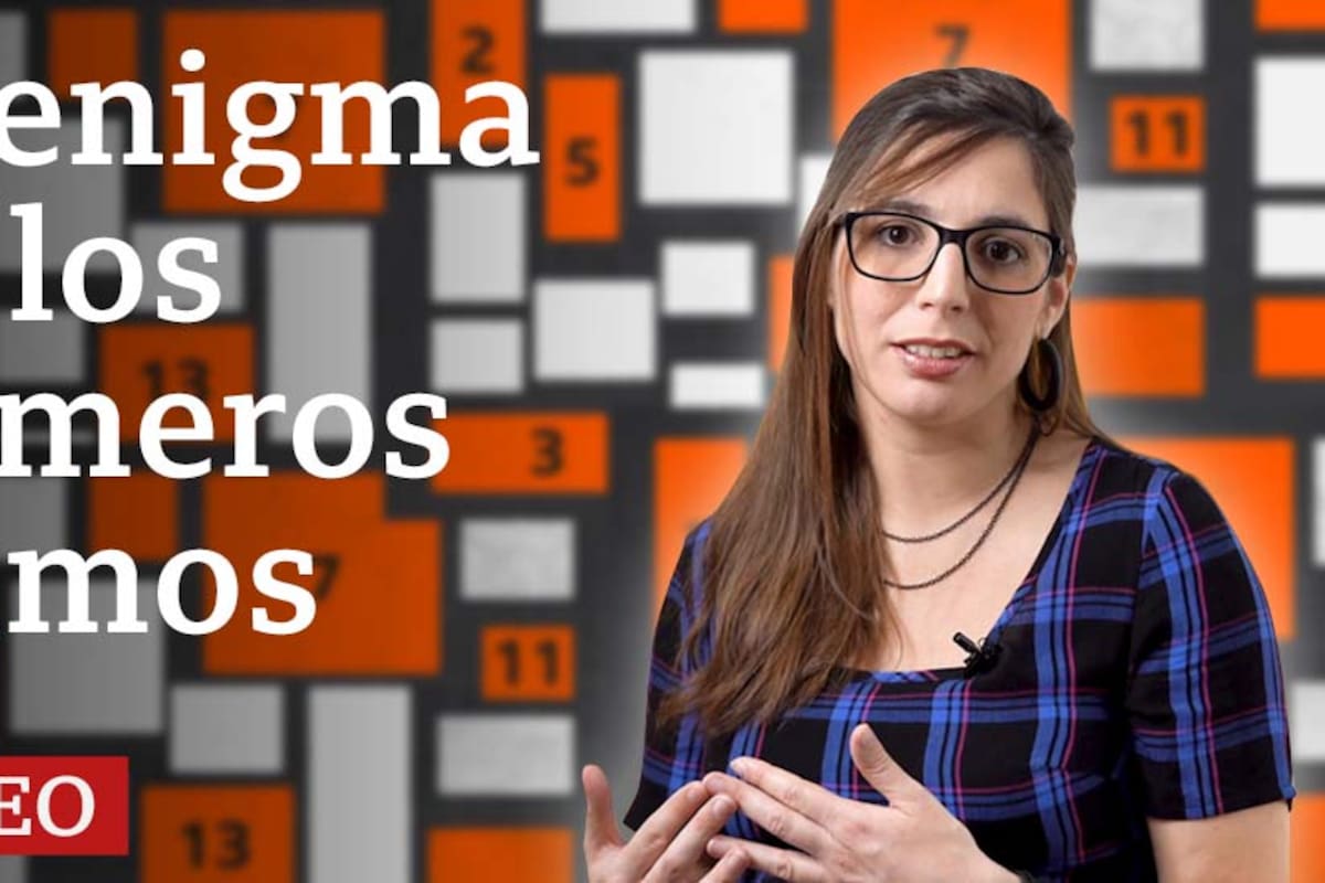 ¿Por qué los números primos son tan importantes hoy en día?