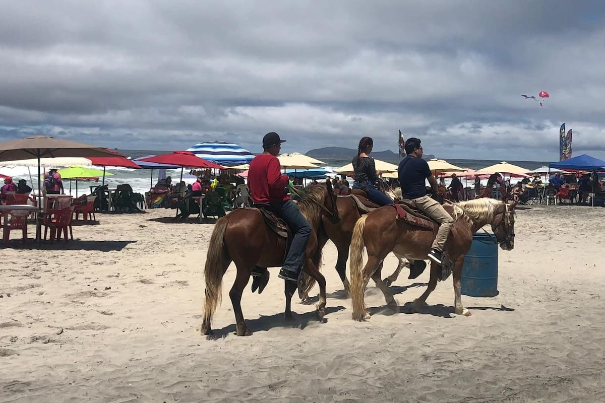 Analizan regular paseos a caballo en playas de Rosarito para garantizar bienestar animal