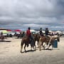 Analizan regular paseos a caballo en playas de Rosarito para garantizar bienestar animal