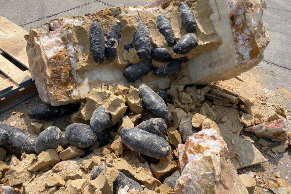 Cocaína y metanfetamina iba oculta en roca, en Tecate